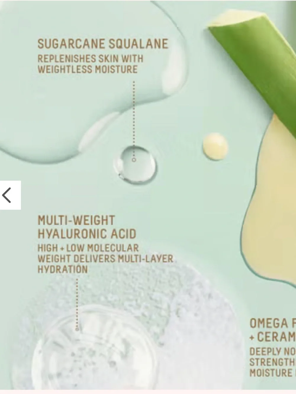 Biossance Limited Edition Squalane + Omega Repair Cream deeply moisturizes great